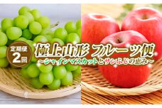 【定期便2回】極上山形フルーツ便～シャインマスカットとサンふじの恵み～ 【令和7年産先行予約】FS24-747