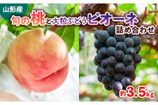 旬の桃と大粒ぶどうピオーネ 詰め合わせ 約3.5kg 【令和7年産先行予約】FS24-764