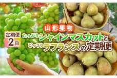 【定期便2回】山形果物 たっぷりシャインマスカットとどっさりラフランスの定期便 【令和7年産先行予約】FS24-767