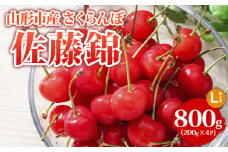 山形市産 さくらんぼ【佐藤錦】Lサイズ 800g(200g×4P) 【令和7年産先行予約】FS24-754