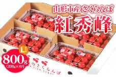 山形市産 さくらんぼ【紅秀峰】 Lサイズ 800g(200g×4P) 【令和7年産先行予約】FS24-755