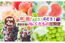 【定期便4回】桃！桃！ぶどう！ぶどう！農家自慢の旬のくだもの定期便 【令和7年産先行予約】FS24-720