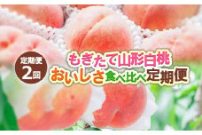 【定期便2回】もぎたて山形白桃 おいしさ食べ比べ定期便 【令和7年産先行予約】FS24-724