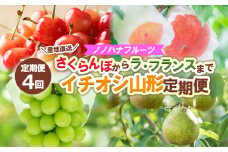 【定期便4回】ノノハナフルーツ さくらんぼからラ・フランスまで 【産地直送】イチオシ山形定期便 【令和7年産先行予約】FS24-725