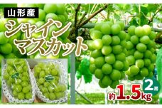 山形産 シャインマスカット 約1.5kg(2房) 【令和7年産先行予約】FS24-727