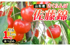 山形産 さくらんぼ佐藤錦 1kg 並べ詰め L以上 【令和7年産先行予約】FS24-728