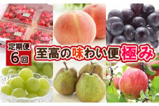 【定期便6回】至高の味わい便 極み 【令和7年産先行予約】FS24-738
