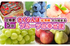【定期便5回】さくらんぼ(紅秀峰)から始まるフルーツの幸せ便 【令和7年産先行予約】FS24-739