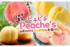 【定期便4回】ピチピチPeache's 【令和7年産先行予約】FS24-742