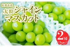 山形市産 大粒シャインマスカット 1kg以上 2房 【令和7年産先行予約】FS24-763