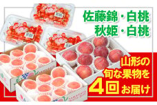 【定期便4回】☆フルーツ王国山形☆佐藤錦・白桃・秋姫・白桃 【令和7年産先行予約】FS24-772