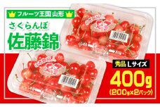 ☆フルーツ王国山形☆さくらんぼ 佐藤錦 Lサイズ 400g(200g×2パック) 【令和7年産先行予約】FS24-775