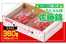 ☆フルーツ王国山形☆さくらんぼ 佐藤錦 Lサイズ 360g(180g×2パック) 【令和8年産先行予約】FS25-558 くだもの 果物 フルーツ 山形 山形県 山形市 2026年産