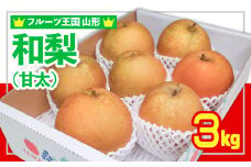 ☆フルーツ王国山形☆和梨 (甘太) 秀品 3kg 【令和7年産先行予約】FS24-776