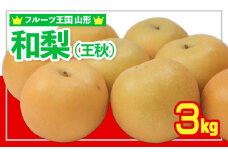 ☆フルーツ王国山形☆和梨 (王秋) 秀品 3kg 【令和7年産先行予約】FS24-777