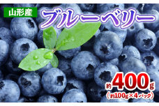 山形産 ブルーベリー 約400g(約100g×4パック) 【令和7年産先行予約】FS24-787