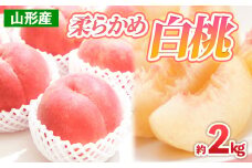 山形産 柔らかめ 白桃 約2kg 【令和7年産先行予約】FS24-788