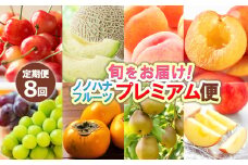【定期便8回】★100セット限定★ノノハナフルーツプレミアム便 旬をお届け！ 【令和7年産先行予約】FS24-789