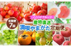 【定期便7回】ノノハナフルーツ　【産地直送】　満喫やまがた定期便 【令和7年産先行予約】FS24-790