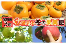 【定期便3回】心温まる冬の果実便 【令和7年産先行予約】FS24-793