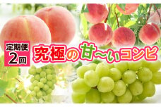 【定期便2回】究極の 甘～いコンビ 【令和7年産先行予約】FS24-795