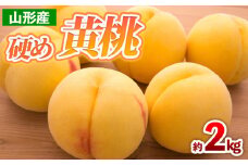 山形産 硬め 黄桃 約2kg(4～9玉) 【令和7年産先行予約】FS24-707