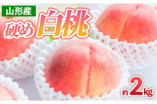 山形産 硬め 白桃 約2kg(4～9玉) 【令和7年産先行予約】FS24-706