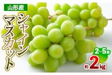 山形産 シャインマスカット 約2kg(2～5房) 【令和7年産先行予約】FS24-710
