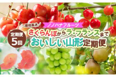 【定期便5回】ノノハナフルーツさくらんぼからラ・フランスまで 【産地直送】 おいしい山形定期便 【令和7年産先行予約】FS24-717