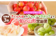 【定期便3回】ノノハナフルーツ さくらんぼからシャインマスカットまで【産地直送】 旬の山形定期便 【令和7年産先行予約】FS24-718