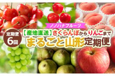 【定期便6回】ノノハナフルーツ さくらんぼからりんごまで 【産地直送】 まるごと山形定期便 【令和7年産先行予約】FS24-719