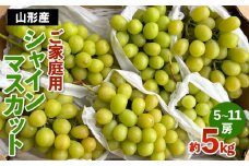 [ご家庭用]山形産 シャインマスカット 約5kg (5房～11房） 【令和7年産先行予約】FS24-749