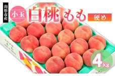 山形市産 小玉 白桃 もも 硬め 4kg(18～22玉) 【令和7年産先行予約】FS24-750