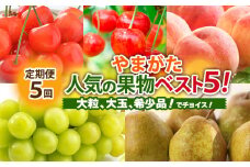 【定期便5回】やまがた人気の果物ベスト5！大粒、大玉、希少品！でチョイス！ 【令和7年産先行予約】FS24-782
