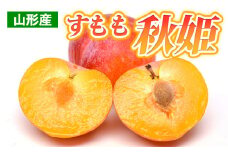 山形産 すもも 秋姫 約2kg(16～24玉) 【令和7年産先行予約】FS24-705