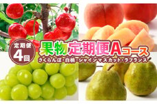 【定期便4回】果物定期便Aコース(さくらんぼ、白桃、シャインマスカット、ラフランス) 【令和7年産先行予約】FS24-744