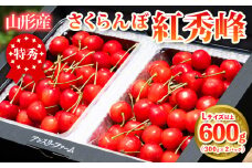 2025年産 さくらんぼ 「紅秀峰」 600g 特秀品 Lサイズ以上 山形産 【令和7年産先行予約】FS24-745
