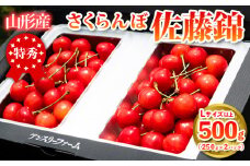  山形県産 さくらんぼ「佐藤錦」500g 特秀品 Lサイズ以上 【令和7年産先行予約】FS24-805