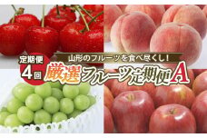 【定期便4回】山形のフルーツを食べ尽くし！厳選フルーツ定期便A 【令和7年産先行予約】FS24-798