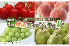 【定期便4回】山形のフルーツを食べ尽くし！厳選フルーツ定期便B 【令和7年産先行予約】FS24-799