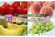 【定期便4回】山形のフルーツを食べ尽くし！厳選フルーツ定期便C 【令和7年産先行予約】FS24-800