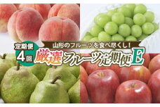 【定期便4回】山形のフルーツを食べ尽くし！厳選フルーツ定期便E 【令和7年産先行予約】FS24-802