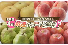 【定期便4回】山形のフルーツを食べ尽くし！厳選フルーツ定期便F 【令和7年産先行予約】FS24-803