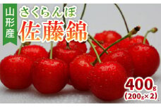 山形産 さくらんぼ 佐藤錦 400g(200g×2) 【令和7年産先行予約】FS24-804