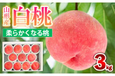 山形産 白桃 [柔らかくなる桃] 3kg(8～14玉) 秀品 品種おまかせ【令和7年産先行予約】FS24-729
