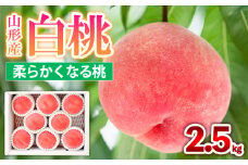 山形産 白桃  [柔らかくなる桃] 2.5kg(7～10玉) 秀品 品種おまかせ【令和7年産先行予約】FS24-730