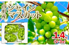 山形産 シャインマスカット 約1.4kg (2～3房) 秀品 【令和7年産先行予約】FS24-733