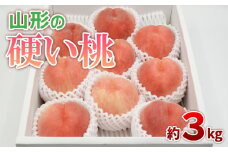 山形の硬い桃 秀品 約3kg(5～13玉) [固い桃] 【令和7年産先行予約】FS24-806