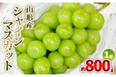 山形産 シャインマスカット 約800g 1房 秀品 【令和7年産先行予約】FS24-731