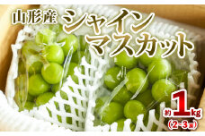 山形産 シャインマスカット 約1kg (2～3房) 秀品 【令和7年産先行予約】FS24-732